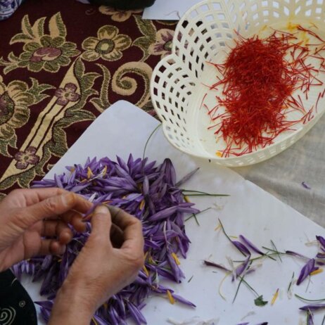 Conflictfood Safran (3)