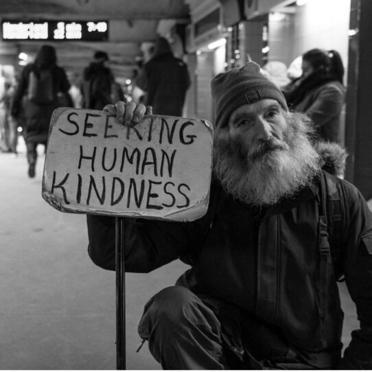 Seeking kindness (1)