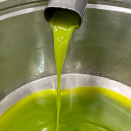 Tavor Oil Olivenoel