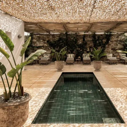 The Rooster Antiparos (3)