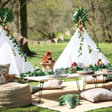 Popup Picknick (8)