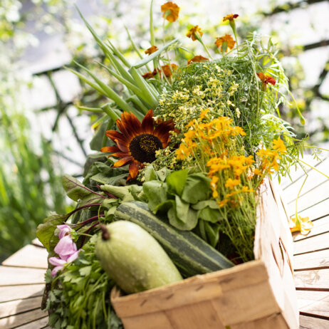 Hortus Tayta Gemuesekorb Spindler Restaurant