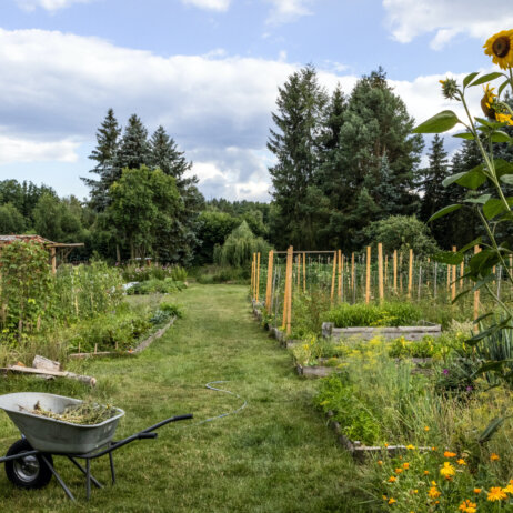 Spindler Berlin Sebastians Garten