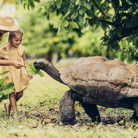 Four Seasons Resort Seychelles Desroches -2