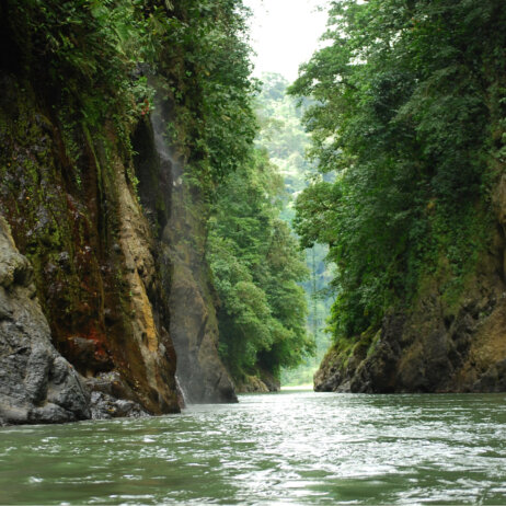 Pacuare Lodge Costa Rica (12)
