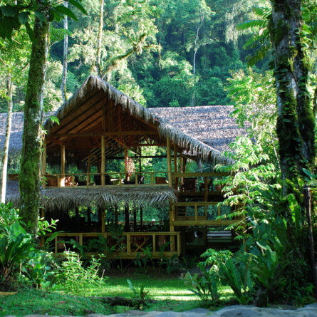 Pacuare Lodge Costa Rica (5)