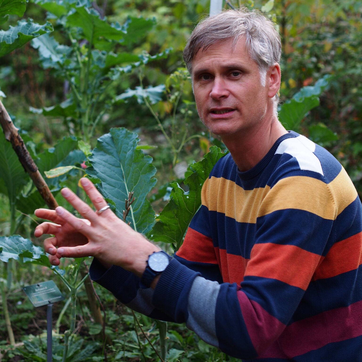 Co-Founder Martin Höfft