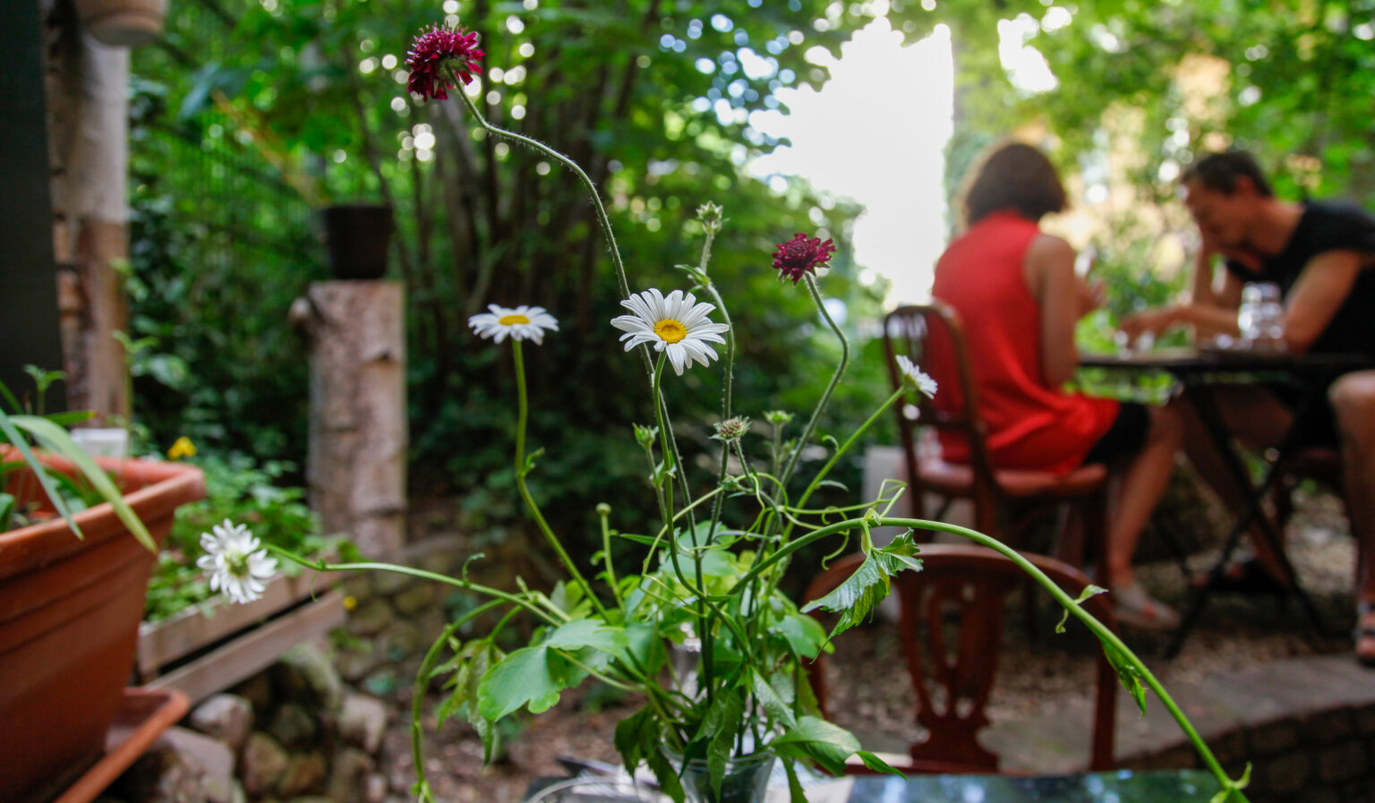 ee180621_Botanico_Midsummer-01