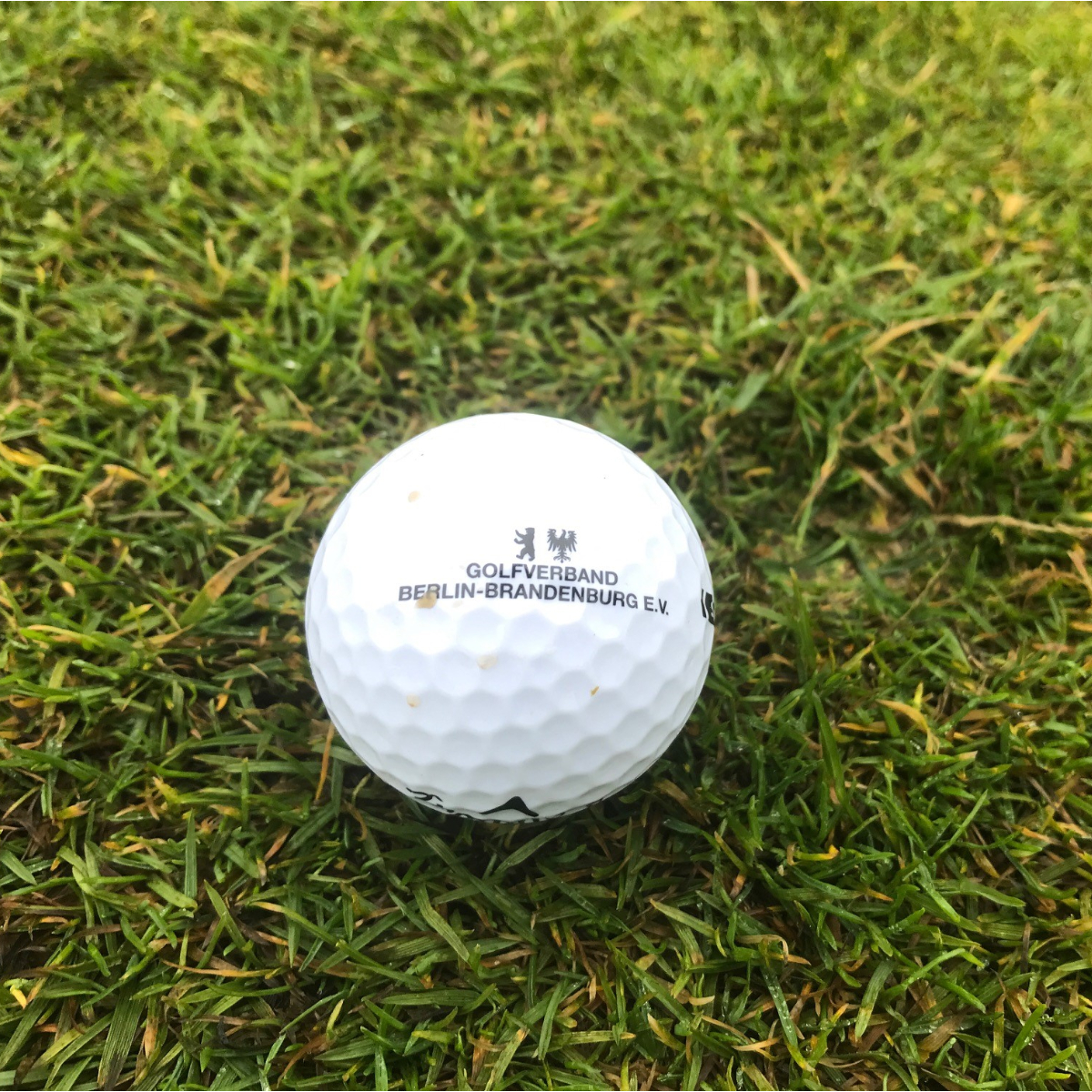 Golfverband Berlin Brandenburg (1)