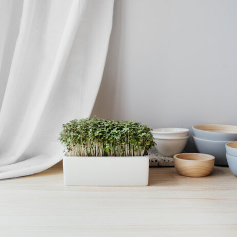 Heimgart Microgreens (2)