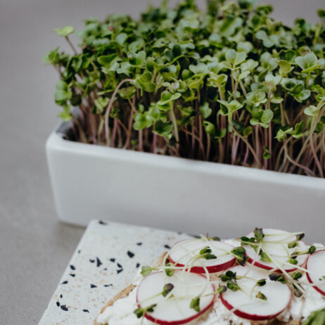 Heimgart Microgreens