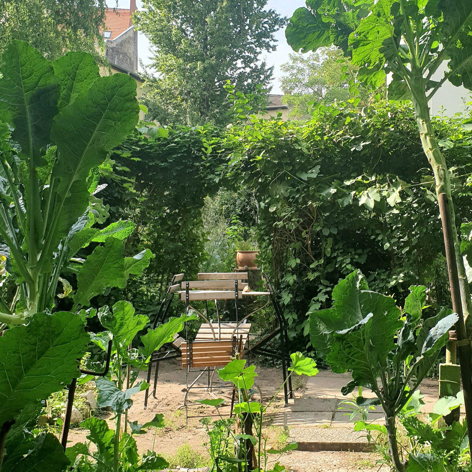 IMG_20200913_120618_348