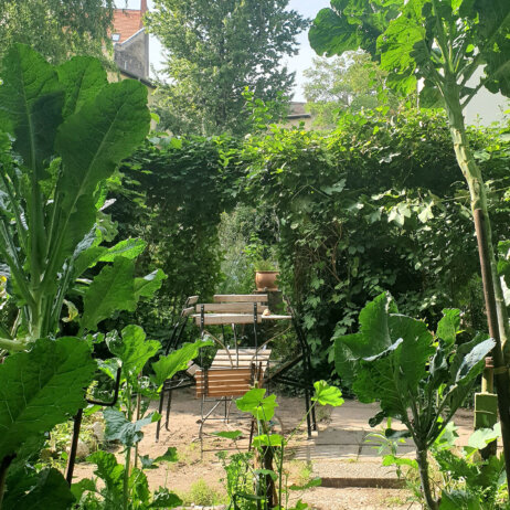 IMG_20200913_120618_348