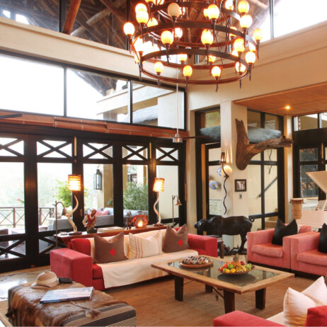 Thanda I South Arfica (16)