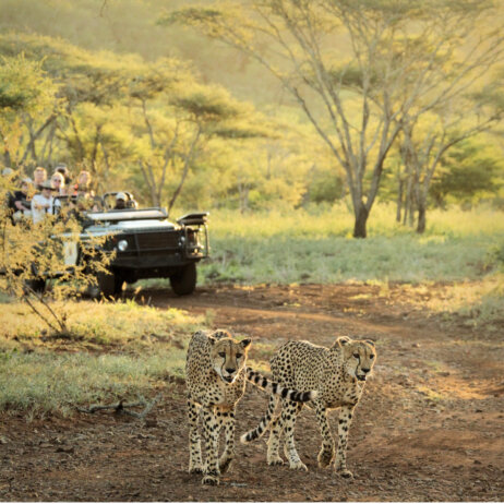 Thanda I South Arfica (23)