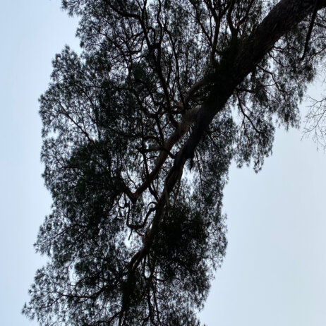 Havelhoehe I Verena Mayer (2)