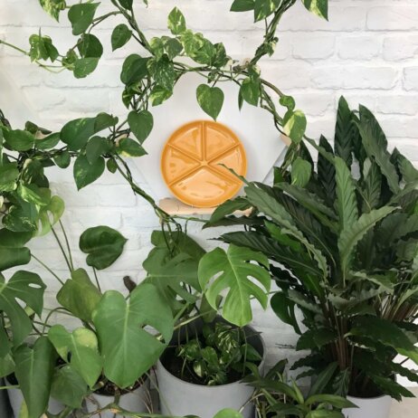 Honiggelb-Berlin_Idil-Scharf_04