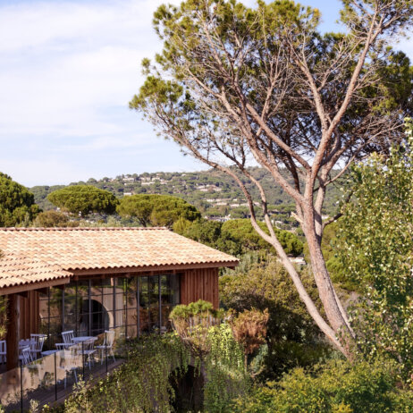 Lily of the Valley (17)