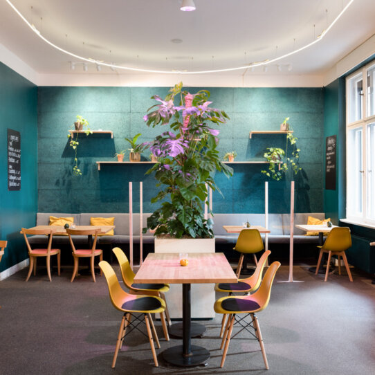 Restaurant Mana Immobilienfotografen-Berlin -1