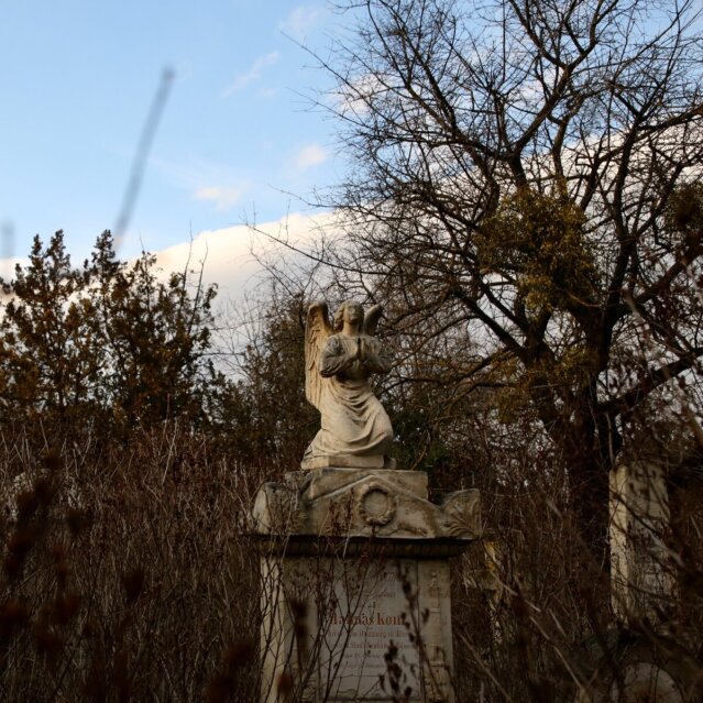 Sankt Marxer Friedhof Wien