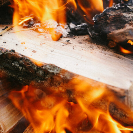 Ember open fire cooking Berlin (1)