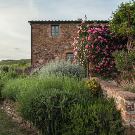 Il Follonico Toskana (7)