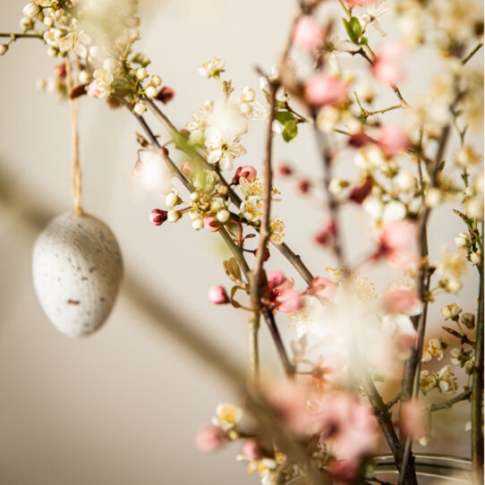 Osterspecial Zuerich (1)