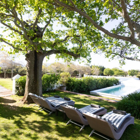 Steenberg Hotel  (7)