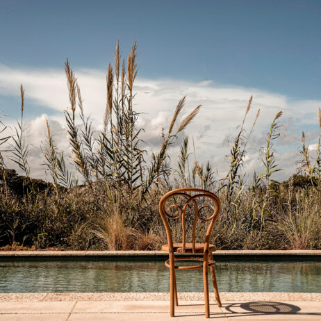 the-rooster-9.1624534378