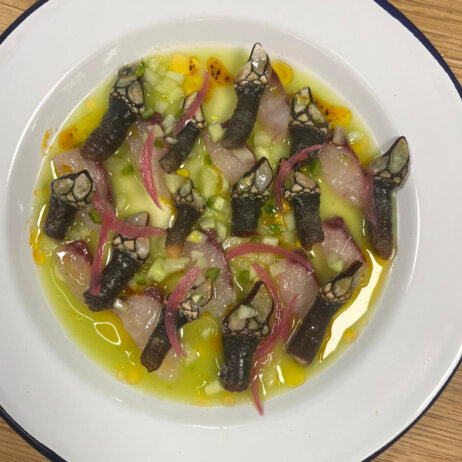 Aguachile Fish Klub Summer Residency Berlin