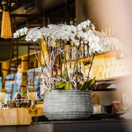 Cochinchina I Photo Lioncut Media Agency (3) - Kopie