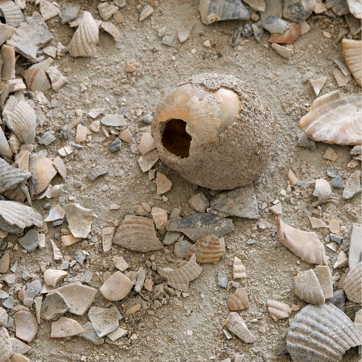 Nina Canell I Muscle Memory 7 Tonnes I Berlinische Galerie