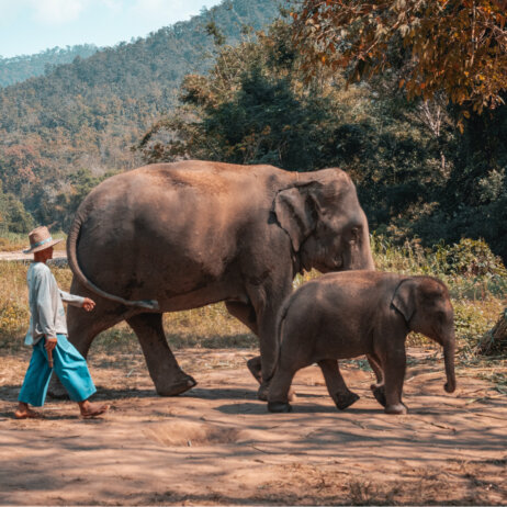 Photo by Craig McKay on Unsplash I Thailand
