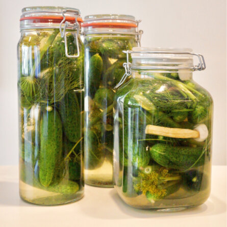 Purgal Delicatessen Berlin Mitte (10)