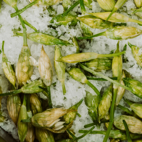 © Florian Kottlewski - the noName 04.05.22-42-3