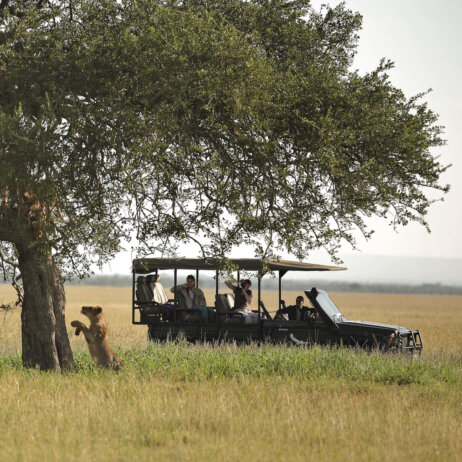 Grumeti Serengeti River Lodge von andBeyond