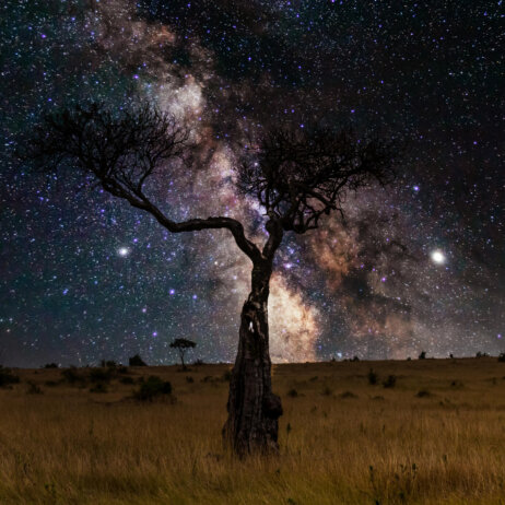 Grumeti Serengeti River Lodge von andBeyond (2)