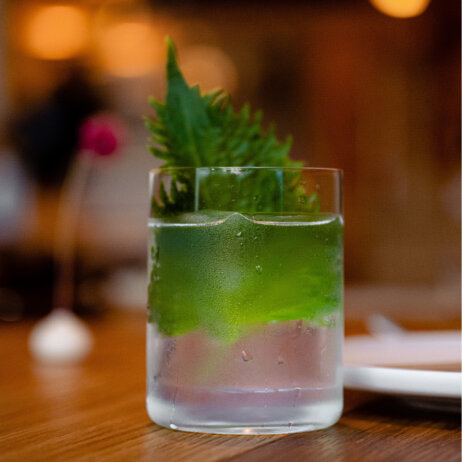 Shiso High Brasserie November Berlin