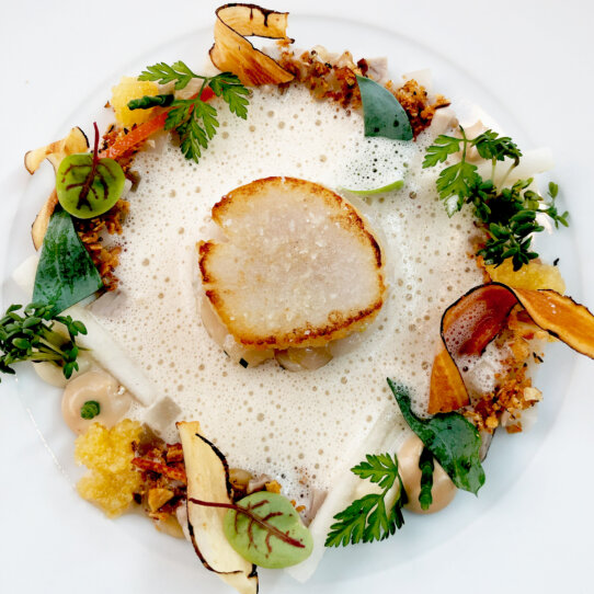 4 Gaenge Menu I Electric Mimosa (1)