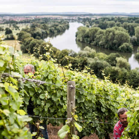 Weinberg I Romantik Hotel zur Schwane Hannes Niederkofler