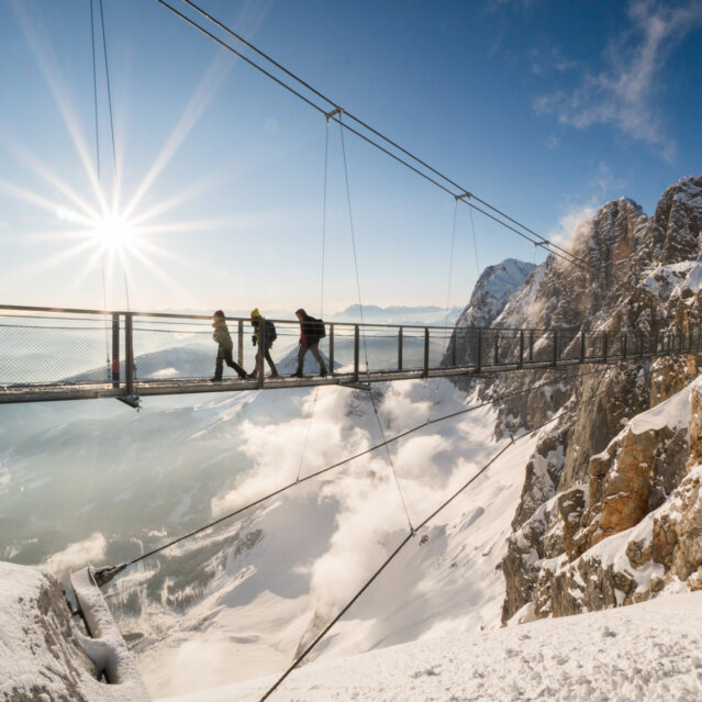 Dachstein-Hangebruecke_Schladming-Dachstein_David-McConaghy Dachstein-Hangebruecke_Schladming-Dachstein_David-McConaghy