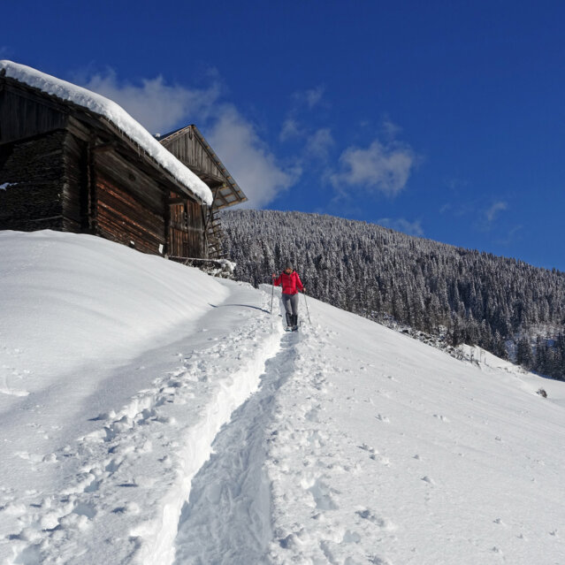 Urlaub-am-Bauernhof-Schneeschuhwandern-sanfter-Winter_Urlaub-am-Bauernhof_Markus-Lackinger