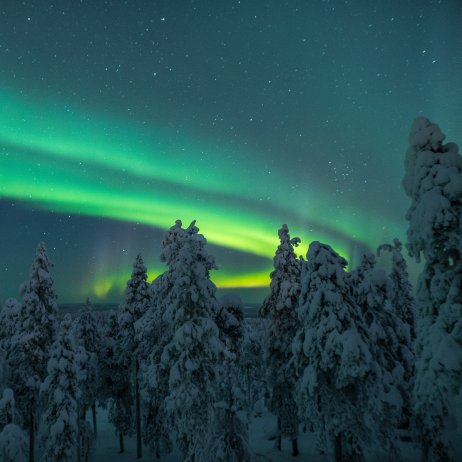 Octola Wilderness Lodge (24)