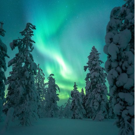 Octola Wilderness Lodge (29)