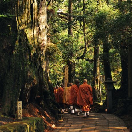 Japan I Photo by Carlo Pentimalli on Unsplash