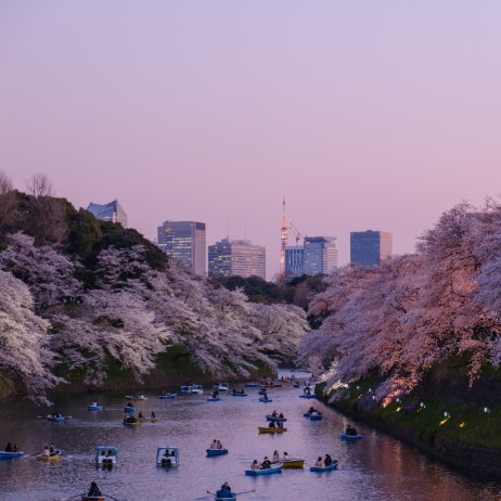 Japan I Tokio I Photo by Yu Kato on Unsplashh (1)