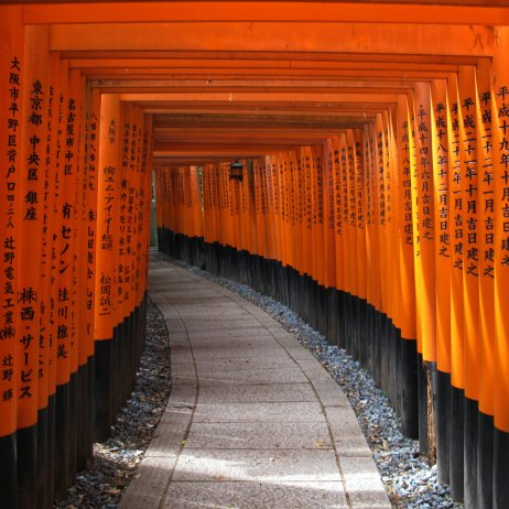 Fushimi Inari by johanna-persson on unsplash