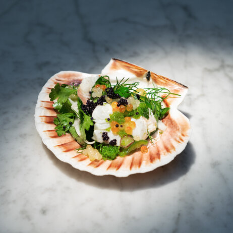 C.O.P. I Ceviche I © Jana Perusich