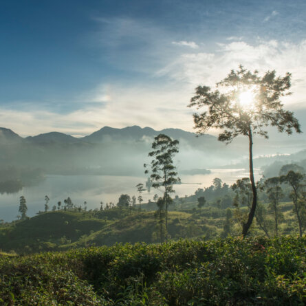 Ceylon Tea Trails (37)