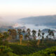Ceylon Tea Trails (73)